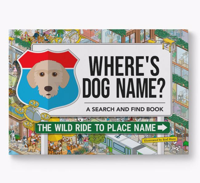 Personalised Basset Fauve De Bretagne Book: Where's Dog Name? Volume 3